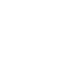 Cash icon
