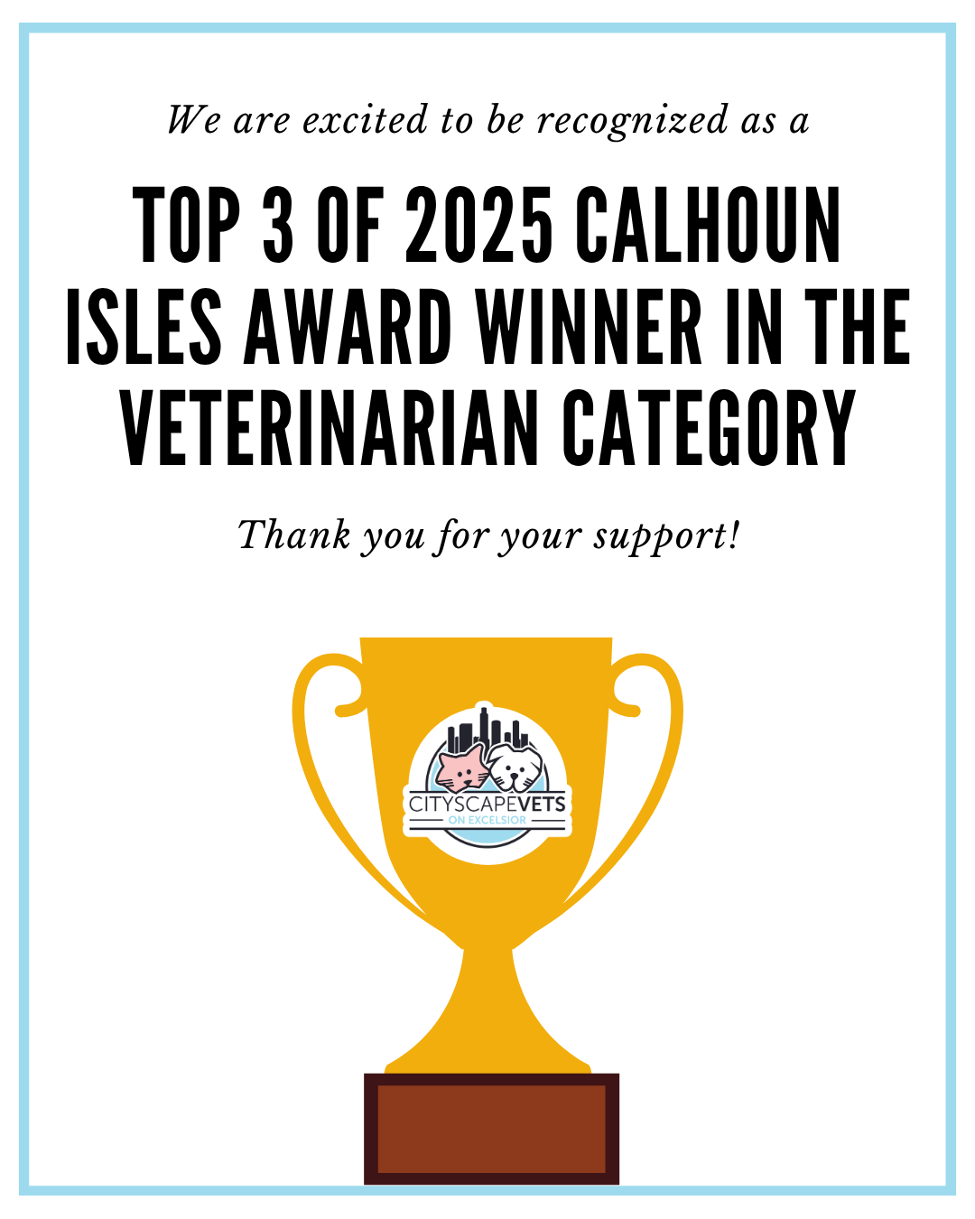 Top 3 Best Vet in Calhoun Isles award